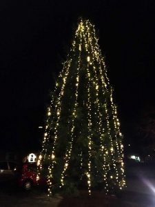 Bild på den offentliga granen som står på Hemköpsparkeringen i Fellingsbro