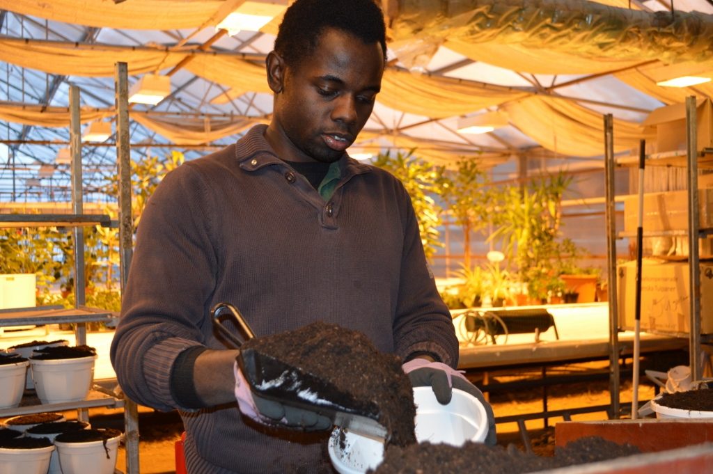 En bild på Robert som fyller på med jord i krukorna