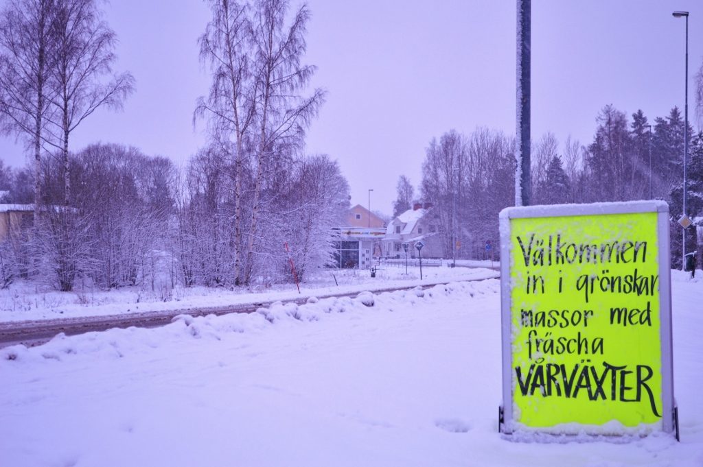 En bild utanför Solhems handelsträdgård, man ser vägen och en gatupratare vid vägkanten