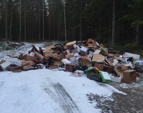 En bild på massor av kartonger som slängts i Käglan skogen