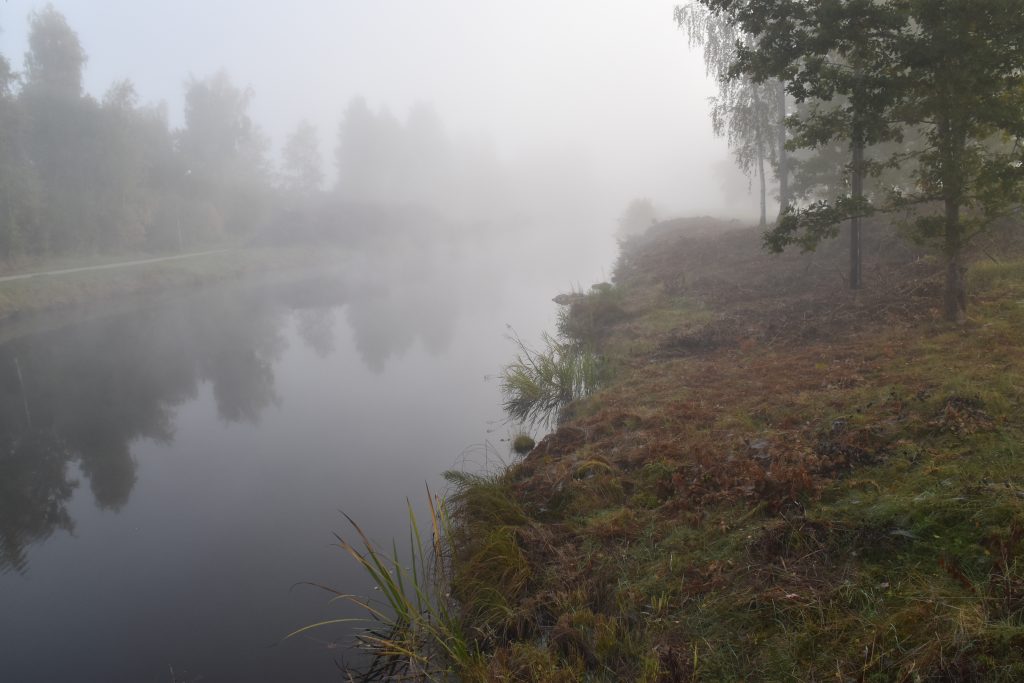 Denna bild har ett alt-attribut som är tomt. Dess filnamn är DSC_0307-1024x683.jpg